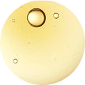 Coco-Glucoside